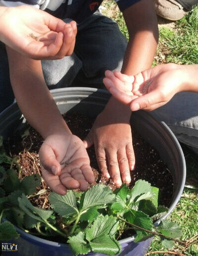 children holding seeds in their hands