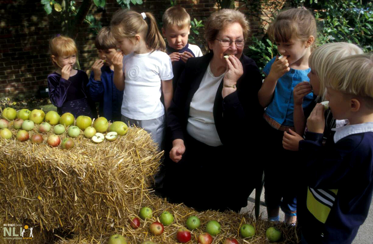 teacher tasting apples with children