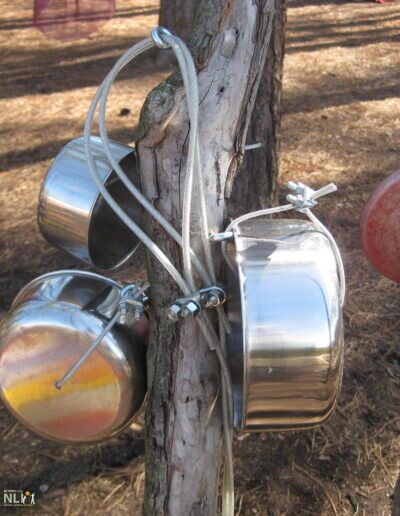 pots attached to tree