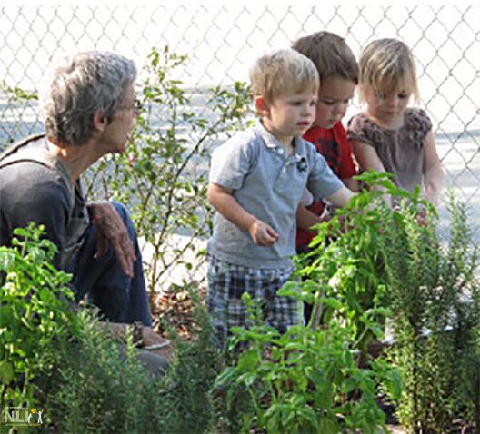 Harvest Time