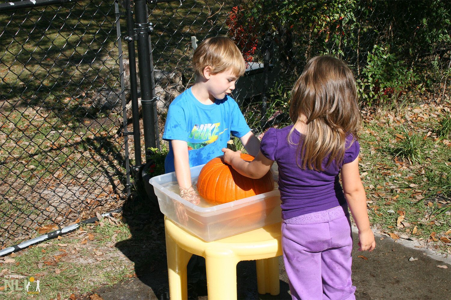 children washing a pumpkin