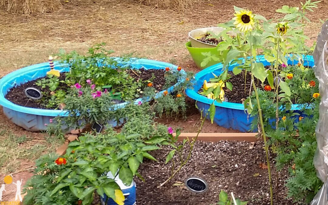 Launching a low-cost garden in three steps