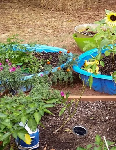 splash pools turned into gardening beds