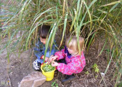 2 children collecting leaves in a bucket