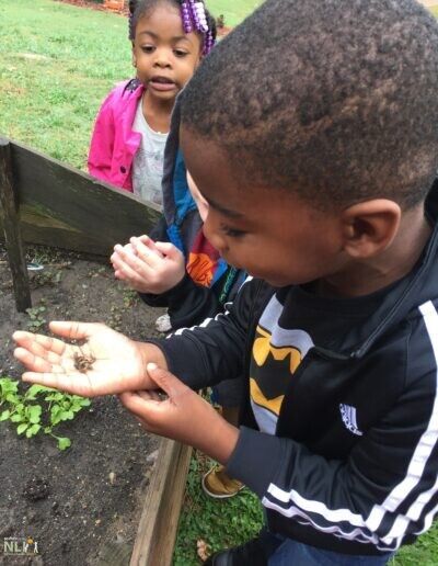 child holding earthworms in his hand