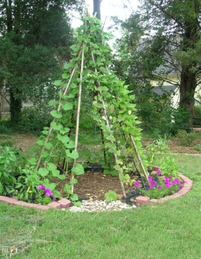conical structure with vines growing on it
