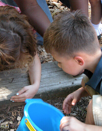 children searching for wildlife