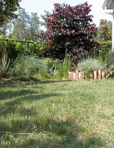 lawn with bordering plants
