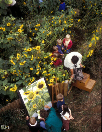children engaging in activities with sunflowers