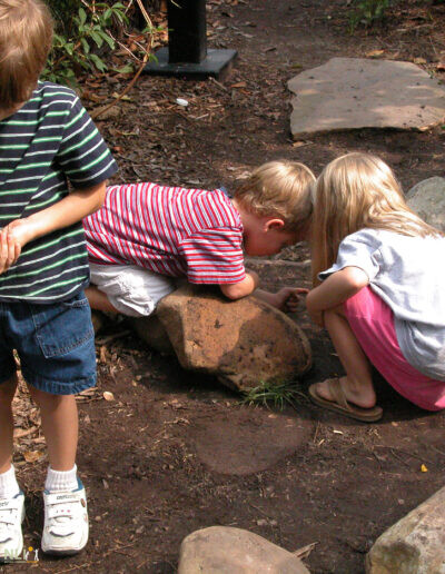 children searching under stones