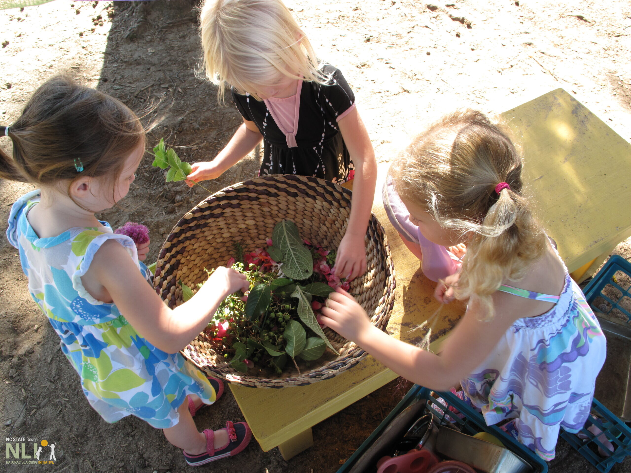 children collecting flowers and putting them a basket