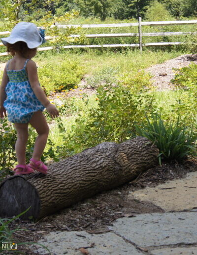 child on balancing log