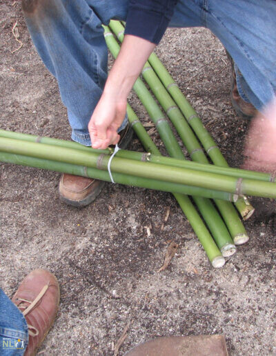 tying bamboo together