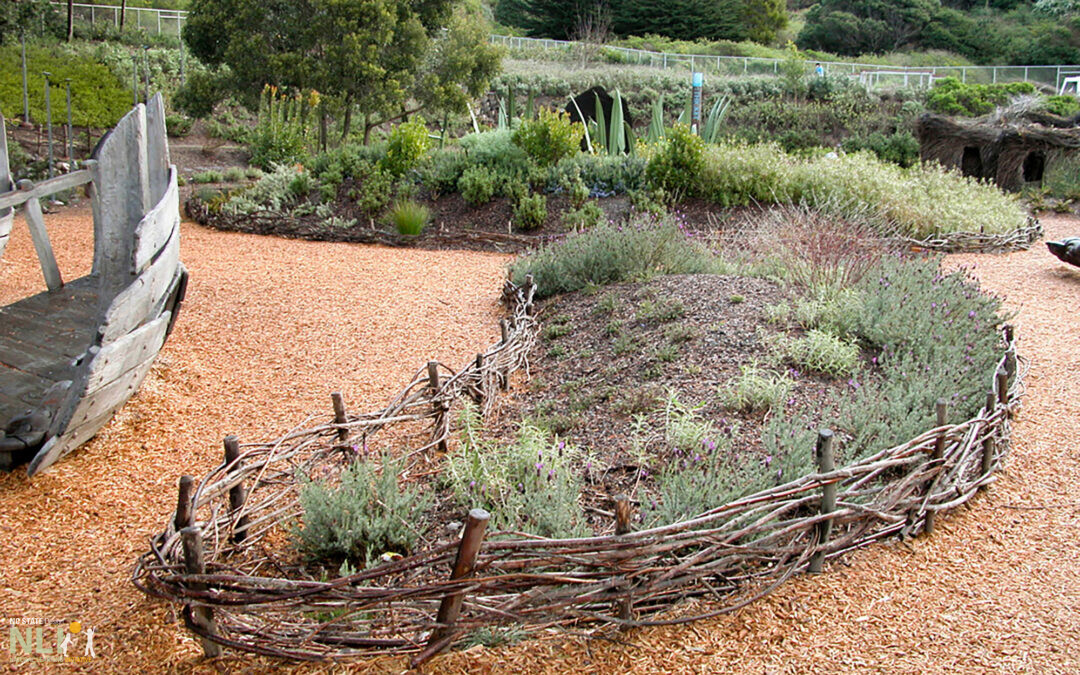 14. Plant Bed Protection