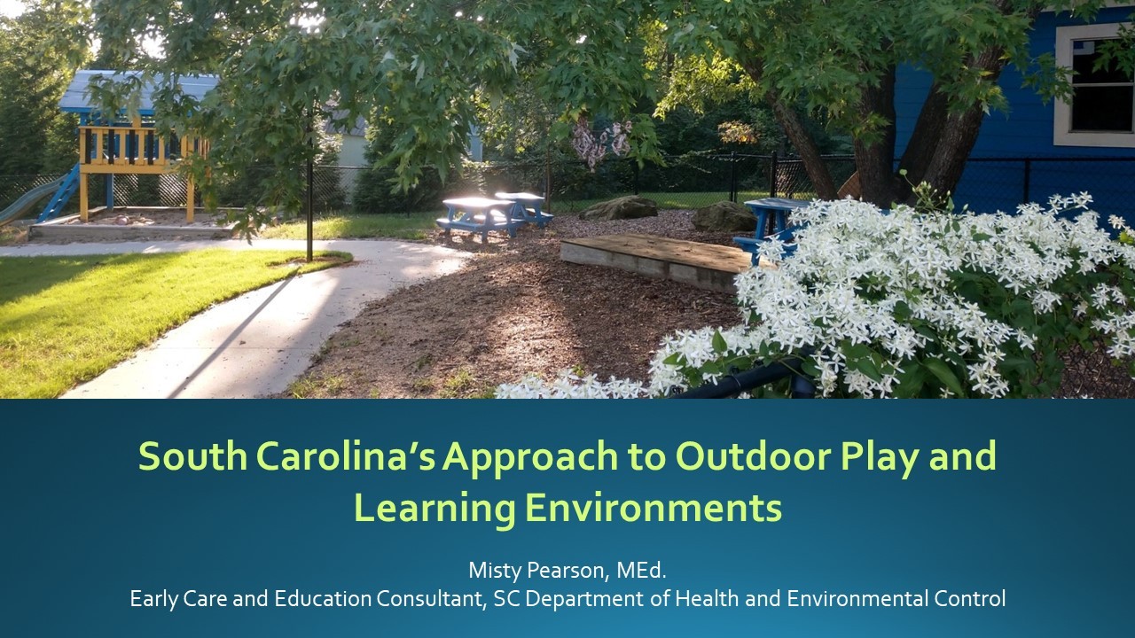 south carolinas approach to outdoor play and learning environments into slide