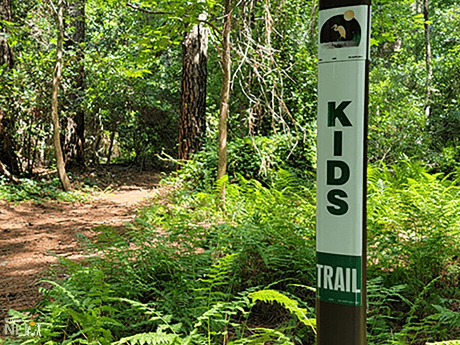 Kids in the Woods at Hoffler Creek Wildlife Preserve