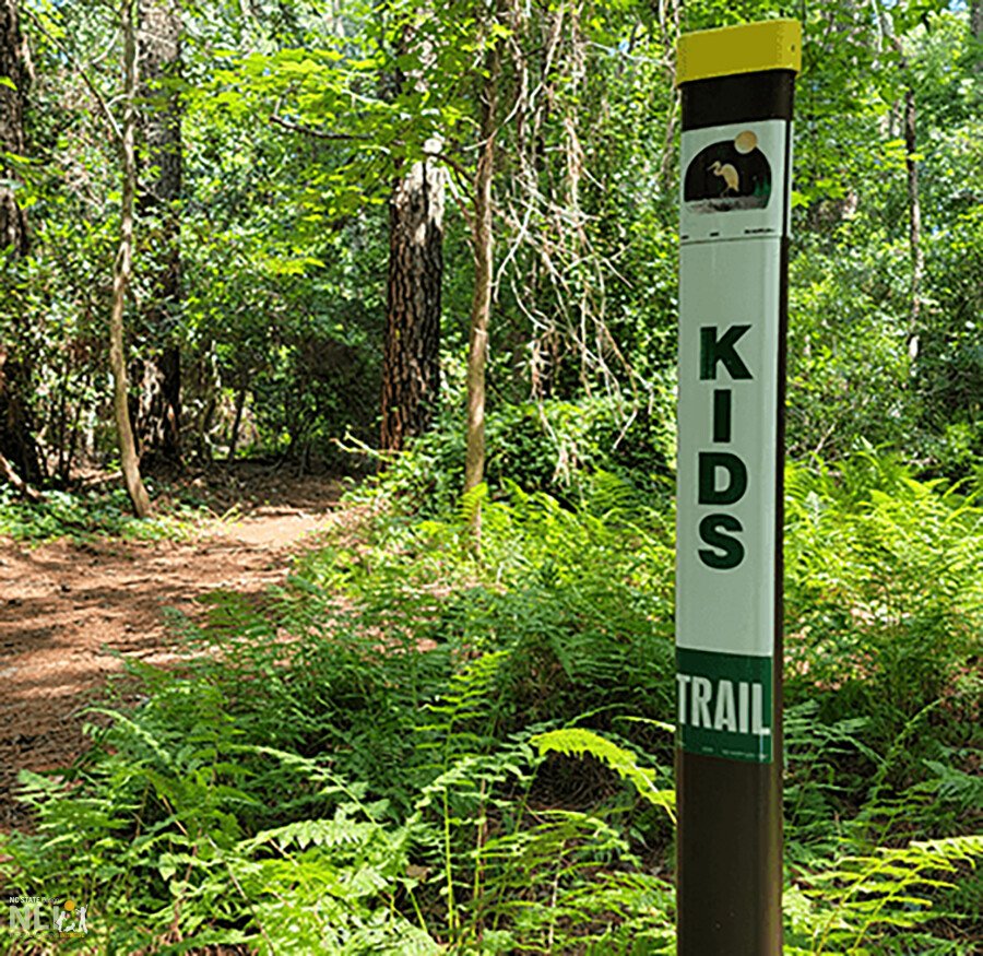 kids trail