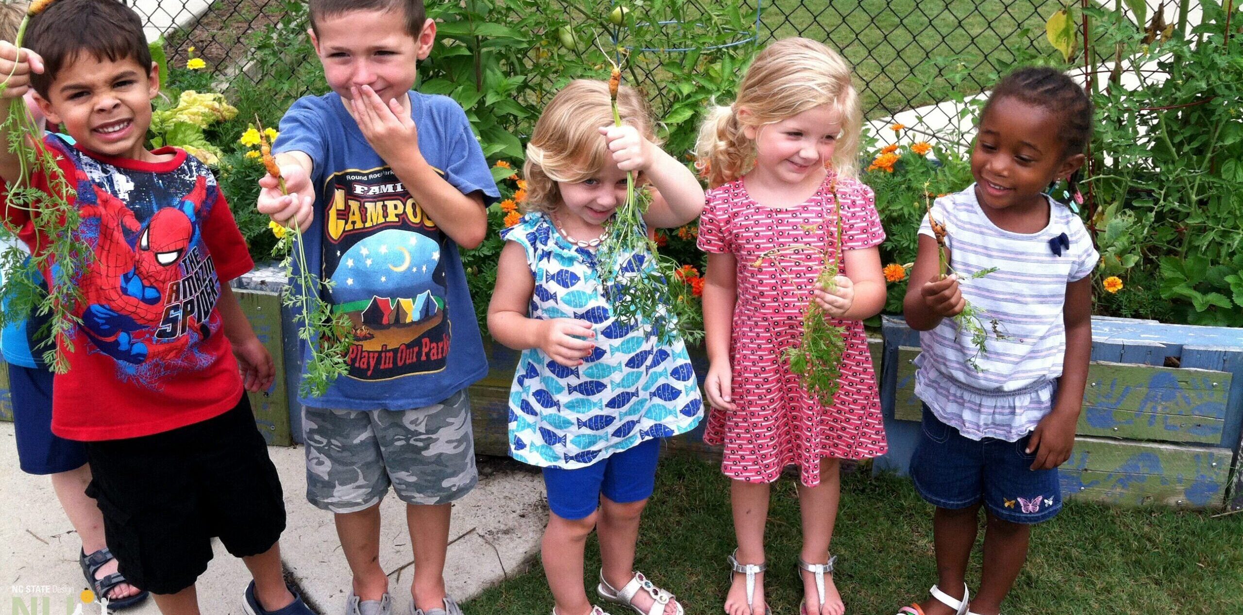 children holding harvested carrots