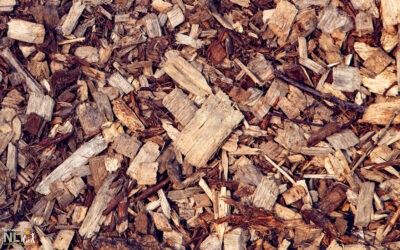 Free Wood Chips!