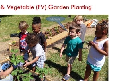 children being shown fruit and vegetable planting