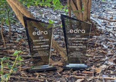 EDRA Awards 2023