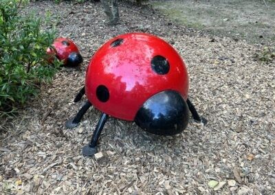 ladybug structure