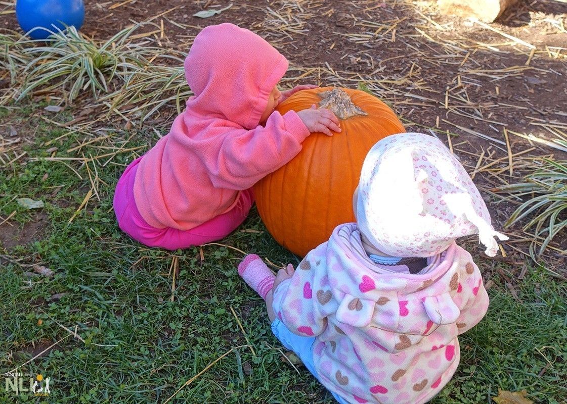 Using Pumpkins to Support Learning