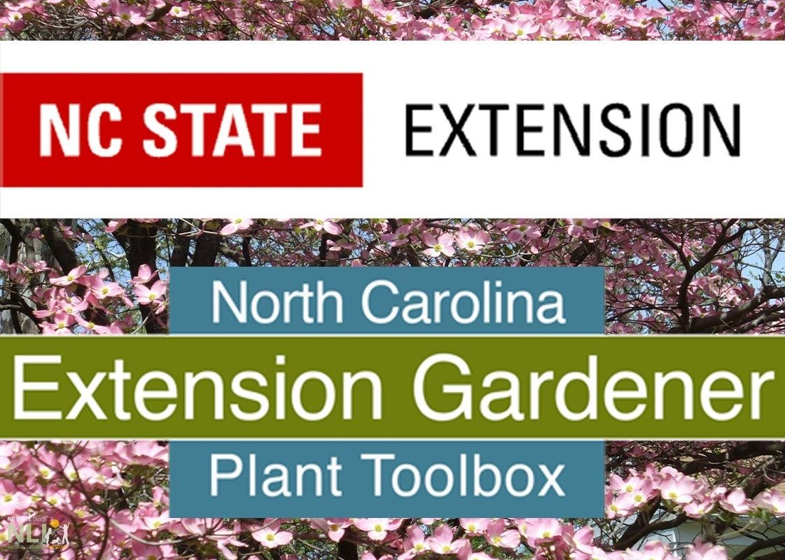 North Carolina Extension Gardener Plant Toolbox