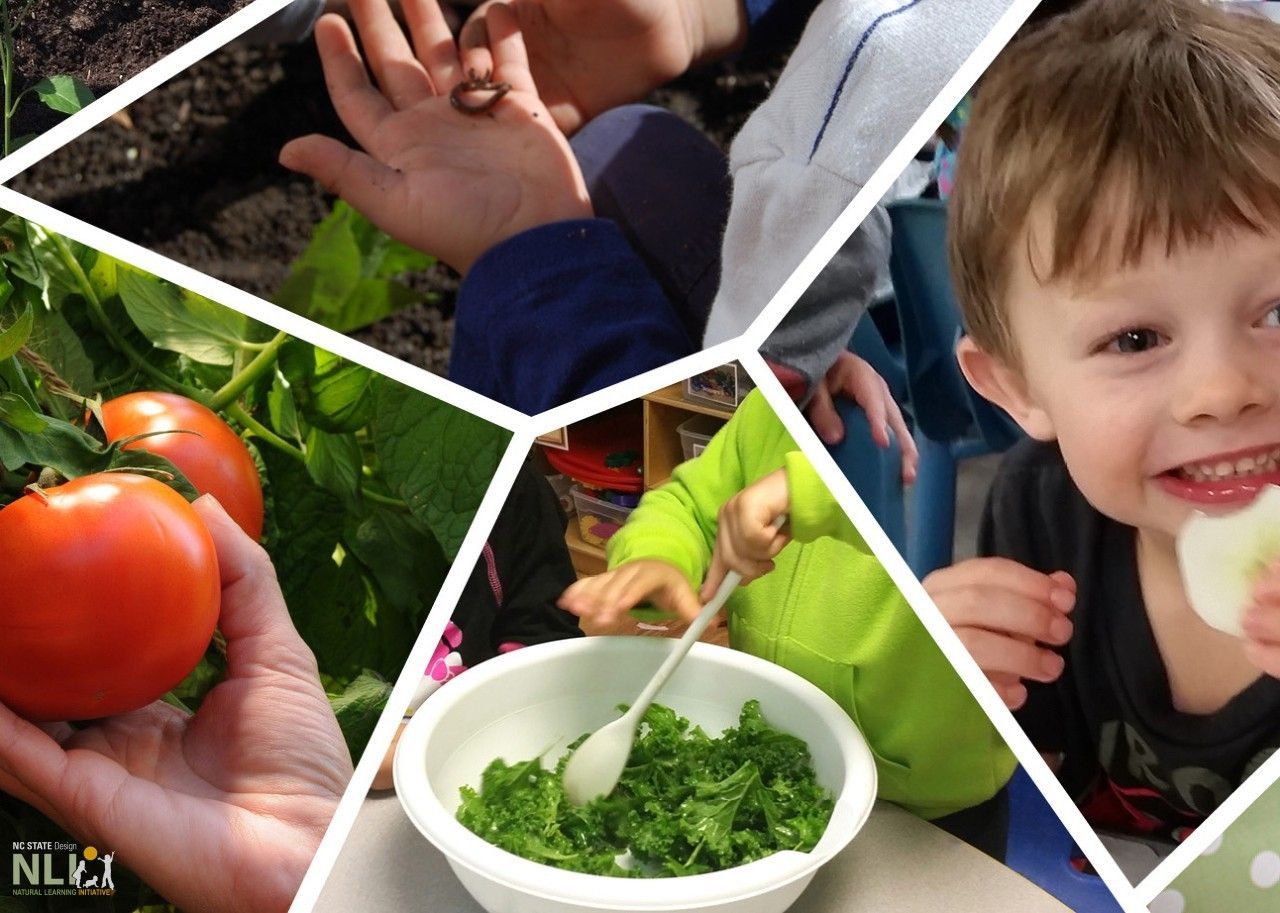Gardening With Young Children Course