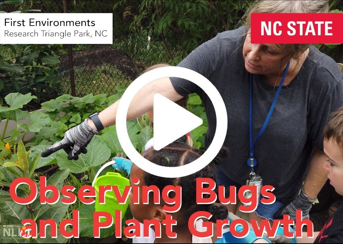 Examining Bugs and Plant Growth