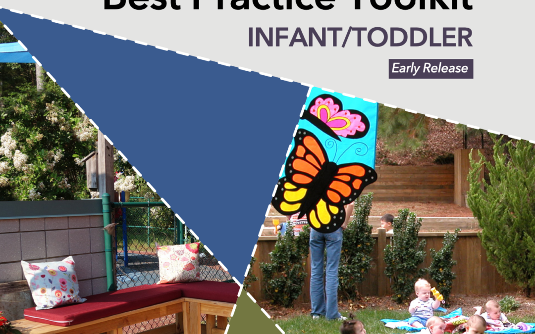 Protected: Infants & Toddlers Outdoors: Best Practice Toolkit (partial)
