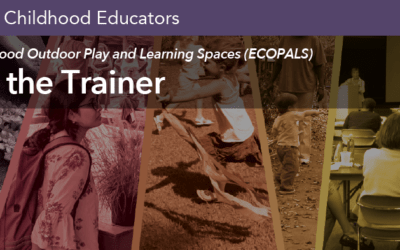 Early Childhood Outdoor Play and Learning Spaces (ECOPALS) – Train the Trainer