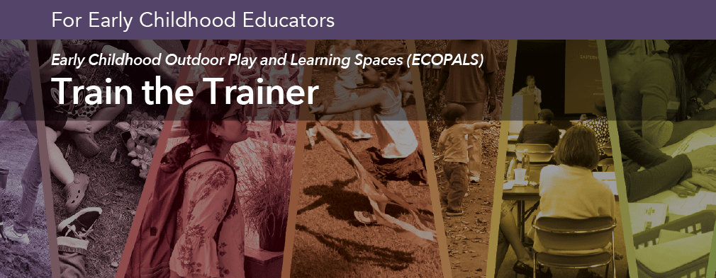 Early Childhood Outdoor Play and Learning Spaces (ECOPALS) – Train the Trainer