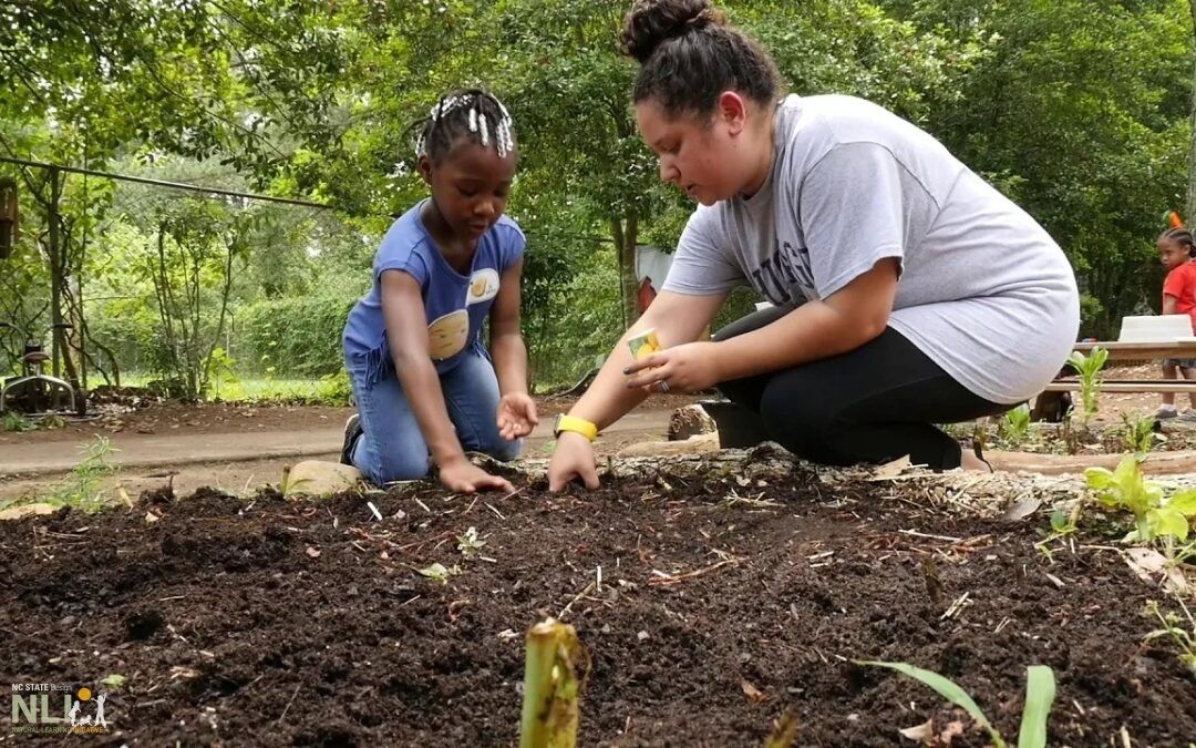 Garden Planning and Caring