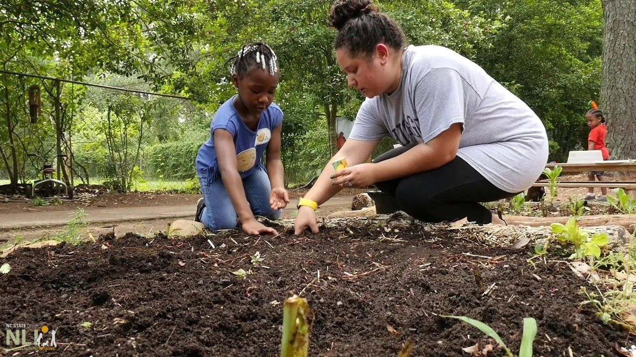 Garden Planning and Caring