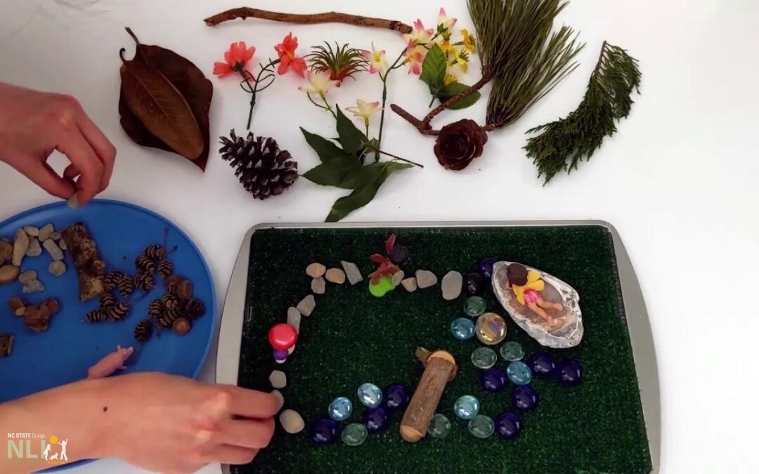 Creating a Fairy Garden