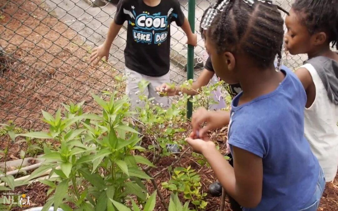 Garden Harvesting, Preparing, Snacking