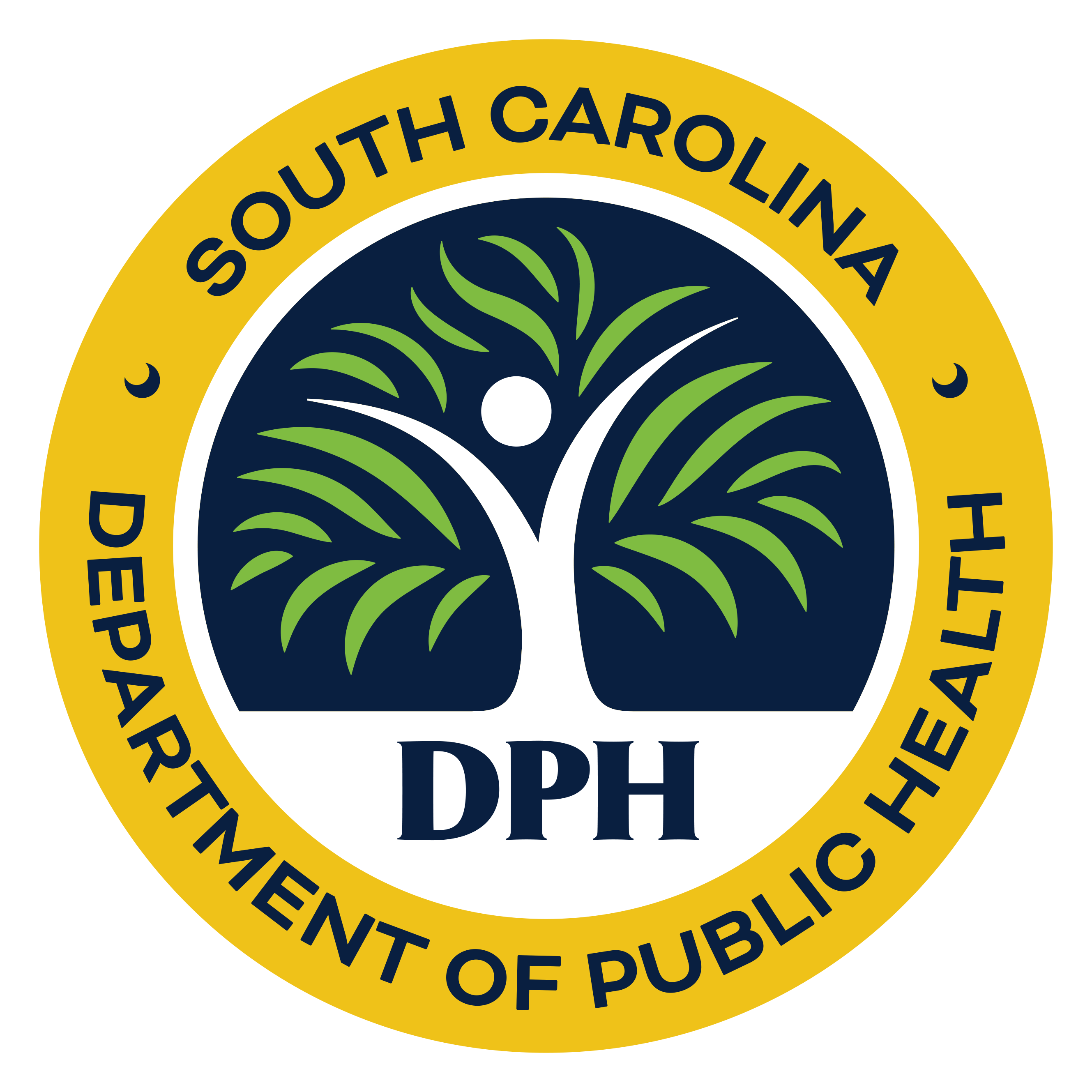 DPH Logo