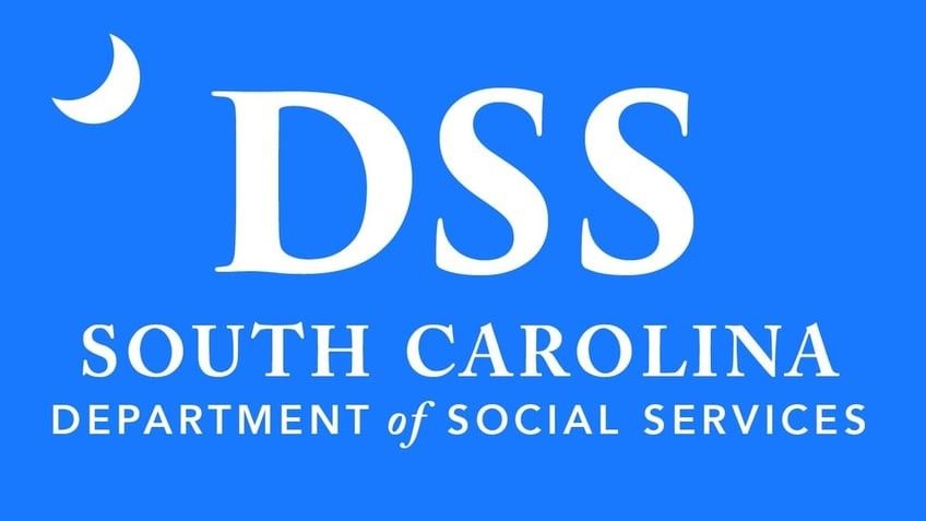 DSS Logo