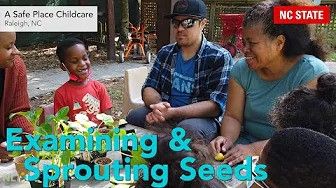 Examining & Sprouting Seeds – NLI Short