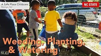 Weeding, Planting, & Watering – NLI Short