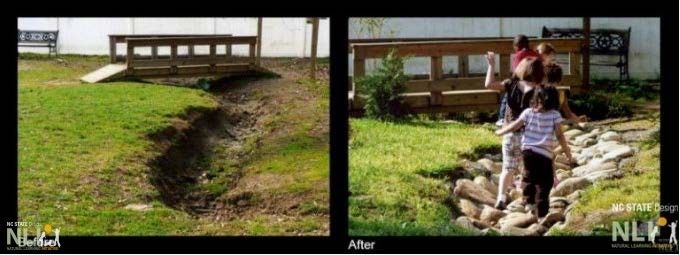 Learning About Birds and Bugs