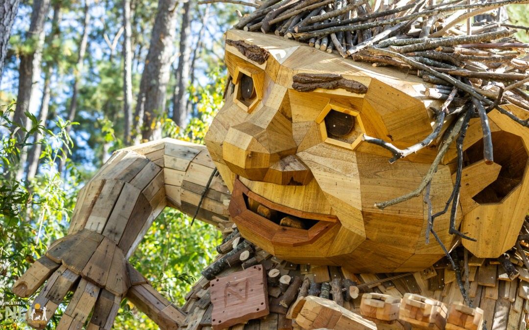 Trolls Take Root at Dix Park