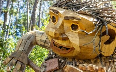 Trolls Take Root at Dix Park