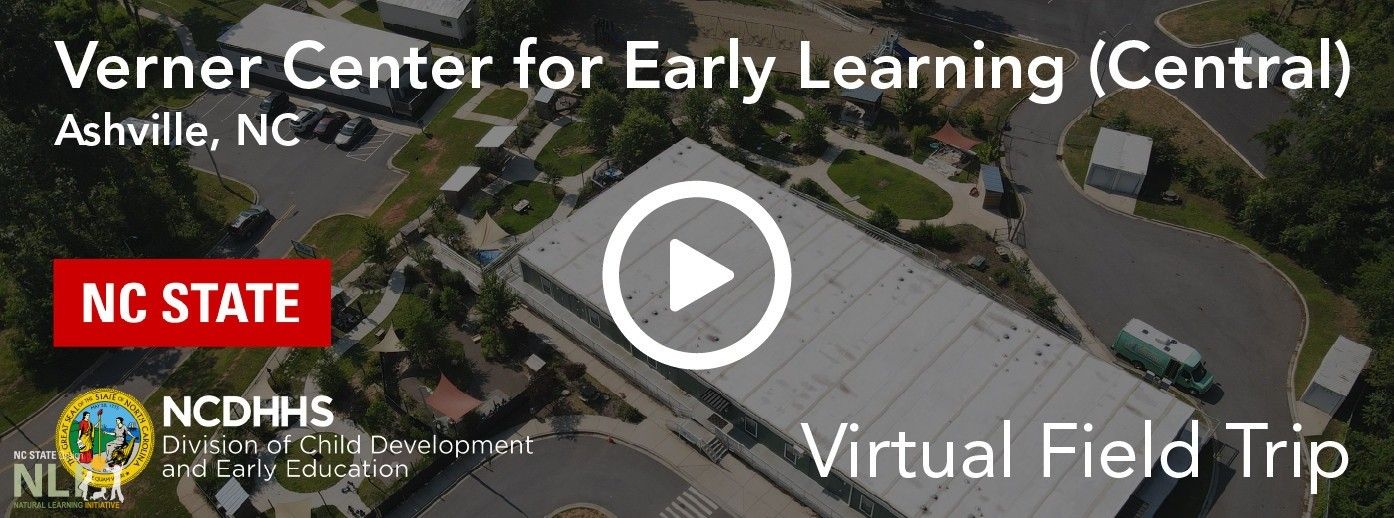 NLI Newsletter – July / August 2025