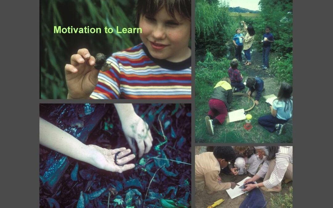 Michigan Department of Natural Resources (MDNR) Parks and Recreation Division (PRD)